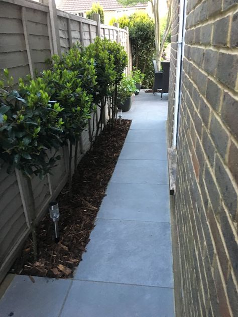 Side Passage Garden Ideas, House Side Alley Ideas, Side Alley Garden, Side Alley Ideas, House Pathway Ideas, House Walkway Landscaping, Side House Walkway, Side Yard Ideas Narrow Between Houses, Side Return Garden Ideas