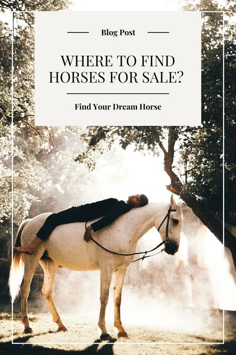 Are you on the hunt for the perfect horse? Look no further! In this guide, we will provide you with an extensive list of websites that provide horses for sale. From experienced breeders to online horse auctions, you’ll find a variety of options that can help you find your dream horse. Explore the best sites for buying horses, so you can make the most informed purchase. #HorseShopping #DreamHorse #BuyHorse #SearchingForHorse #HorseAuction Farm Websites, Buying A Horse, Buy A Horse, Horse Magazine, Horse Shop, List Of Websites, Horse Rescue, Tack Shop, Future Farms