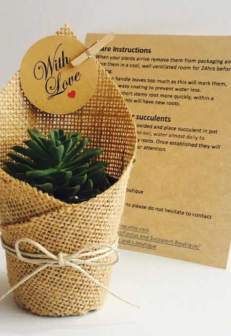 Succulent Favors Wrapped in Hessian | Etsy Wedding Favors Ideas, Sweet Wedding Favors, Homemade Wedding Favors, Wedding Favor Table, Succulent Wedding Favors, Succulent Favors, Favors Ideas, نباتات منزلية, Table Favors