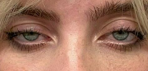 Eye Reference, The Eyes Chico, Eye Study, Eye Close Up, Photos Of Eyes, Most Beautiful Eyes, Eye Photography, Billie Eillish, Aesthetic Eyes