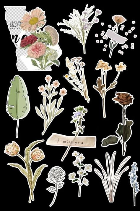 Journal Printables Stickers Aesthetic Vintage Flowers, Bts Art Wallpaper, Aesthetic Flower Stickers Printable, Vintage Design For Scrapbook Printable, Vintage Design For Scrapbook, Vintage Aesthetic Stickers Printables, Phone Cover Stickers, Vintage Paper Printable, Botanical Flowers Print