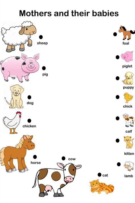 Are you looking for free Baby Animals and their Parents for free? We are providing free Baby Animals and their Parents for free to support parenting in this pand Math Shapesmic! #BabyAnimalsandtheirParents #ParentstheirandAnimalsBaby #BabyAnimals #ParentsAnimals #Baby #Animals #Parents #Worksheets #WorksheetSchools Farm Animals Worksheet, Cursive Small Letters, Evs Worksheet, Nursery School Activities, Animals Worksheet, Animals And Their Homes, Farm Animals Preschool, Farm Animals Activities, Farm Theme Preschool