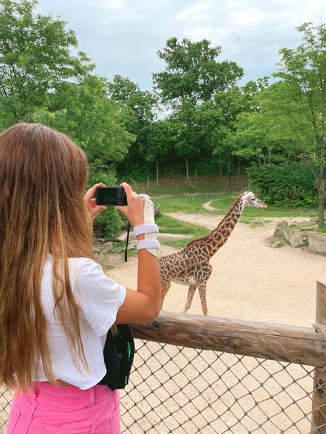 #zoo #summerday #summer #giraffe #aesthetic Zoo Asthetic Picture, Zoo Trip Aesthetic, Zoo Instagram Pictures, Zoo Aesthetic Outfit, Cute Zoo Outfits Summer, Zoo Aesthetic Date, Zoo Trip, Zoo Day, Zoo Pictures Ideas