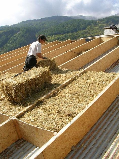 Paille : la solution écologique ultime ? | Build Green | Maison en paille, Maison écologique, Eco construction Straw Bale Construction, Eco Construction, Straw Bale House, Earthship Home, Roof Insulation, Straw Bales, Cob House, Earth Homes, Passive House