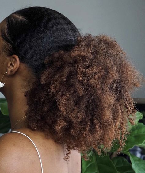 4c Colored Hair, Black Women 4c Hair, Long Thick 4c Hair, Long 4a Hair, Curly Ponytail Black Women, Long Healthy 4c Hair, Ponytail Black Women, Long 4c Hair Aesthetic, Big Afro Hair Aesthetic