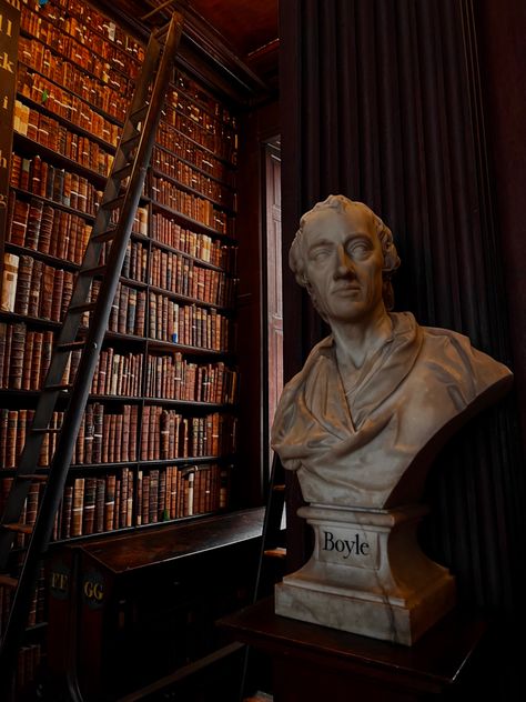 The Long Room Trinity College, Trinity College Aesthetic, Dark Academia Library, Trinity College Library, Dream University, Long Room, College Library, College Aesthetic, Trinity College