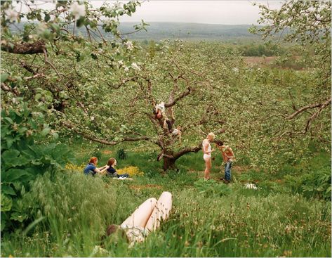 Justine Kurland, Frühling Wallpaper, Outsider Artists, Poses References, Famous Books, 인물 사진, Teenage Dream, Future Life, The Grass