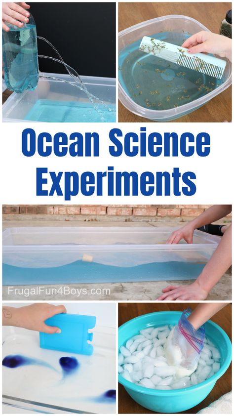 Amazing Ocean Science Experiments - Frugal Fun For Boys and Girls Ocean Science Experiments, Ocean Science Activities, Ocean Activities Preschool, Ocean Lesson Plans, Water Science Experiments, Ocean Habitat, Ocean Theme Preschool, Ocean Classroom, Animal Experiments