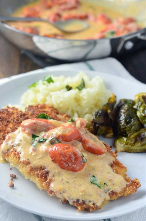 Breaded Tilapia, Parmesan Crusted Tilapia, Crusted Tilapia, Tomato Basil Sauce, Cream Sauce Recipes, Tilapia Recipes, Parmesan Crusted, Tomato Basil, Tomato Recipes