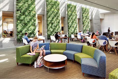 Living Green Walls in Schools Increase Student Performance and Well Being - Greenroofs.com University Interior Design, University Cafeteria, University Washington, Living Green Walls, Cafeteria Design, Student Lounge, Residence Hall, Student Center, Georgetown University