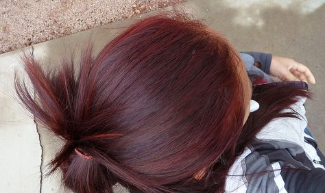 Want this!!!! colored red hair w/ garnier nutrisse light intense auburn Colored Red Hair, Mahogany Red Hair, Pelo Color Vino, Hair Color Pictures, Red Hair Inspo, Wine Hair, Dark Red Hair, Hair Color Auburn, Light Hair Color