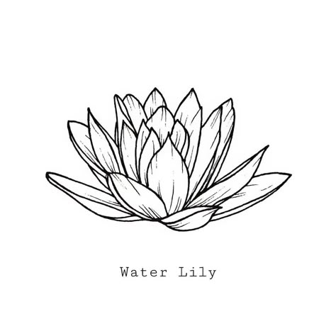 Water Lilly Tattoo Small Simple, Simple Water Lily Tattoo, Water Lily Outline, Water Lily Tattoo Design, Waterlilly Tattoo, Water Line Art, Waterlily Tattoos, Flower Tattoos For Men, Water Lily Tattoo