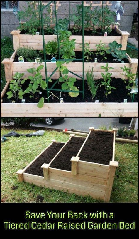 Tiered Cedar Raised Garden Bed #raisedbed #garden #diy #cheap #decorhomeideas Moderne Have, Pallet Projects Garden, Cedar Raised Garden Beds, Raised Vegetable Gardens, Diy Garden Bed, Building Raised Garden Beds, Cedar Garden, Building A Raised Garden, Diy Raised Garden