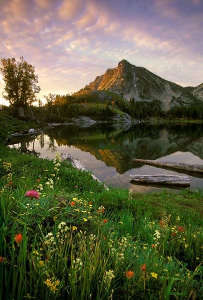 Wallows Mountains, Oregon--Found in the Columbia Plateau in northeastern Oregon, the Wallowa Mountains boast perhaps the most varied and beautiful sights in the whole state. Another of the seven wonders of Oregon, the Wallowas are perhaps best experienced by riding a horse to the summit, but there is also the option of taking a gondola for a spectacular trip from Wallowa Lake Village all the way up to the peak of Mount Howard. Nearby towns Joseph and Enterprise are worth exploring too, with hand Lake Village, Beautiful Oregon, Beautiful Sights, Mountain Lake, America The Beautiful, Still Water, Beautiful Places To Visit, Pretty Places, Most Beautiful Places