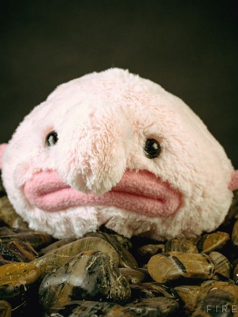 24 Stuffed Toys For Your Totally Weird Significant Other or your totally weird self! Ugly Animals, Weird Gifts, Dan And Phil, Hamsters, Stuffed Animal, Minion, Geek Stuff, Cute Animals, Teddy Bear