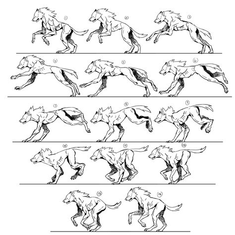 Werewolf Transformation Reference, Wolf Running Side View, Werewolf Drawing Poses, Wolf Running Reference, Werewolf Side View, How To Draw A Werewolf, Werewolf Art Reference, How To Draw Werewolf, Wolf Run Cycle