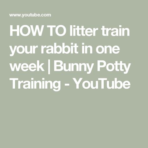 HOW TO litter train your rabbit in one week | Bunny Potty Training - YouTube Diy Rabbit Cage, Bunny Pet, Pig Care, Savannah Cats, Pig Toys, Puppy Stages, Rabbit House, Starting Potty Training, Every Dog Breed