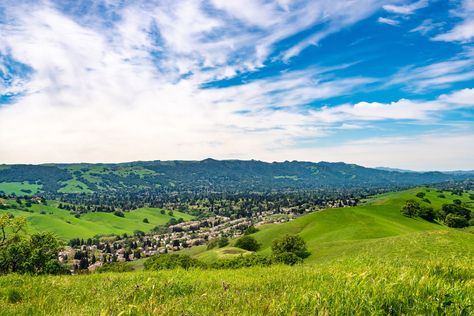 Danville California, Tuscan Landscape, Contra Costa County, Tuscan Landscaping, Hill Park, San Ramon, Community Park, Best Hikes, Short Trip