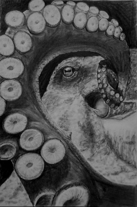 Realistic Art Black And White, Octopus Realistic Drawing, Octopus Pencil Drawing, Sealife Gcse Art, Octopus Pyrography, Underwater Drawing Pencil, Octopus Drawing Sketches, Big Sketchbook, Drawing Octopus