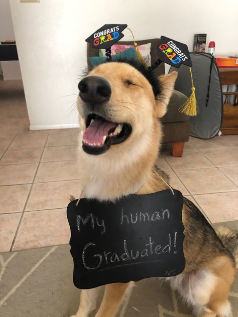 Dog Graduation Party, Dog Cap And Gown, Funny College Graduation Pictures, Veterinarian Graduation Party Ideas, Graduation Picture With Dog, Graduation Pics With Dog, Vet Graduation Pictures, Dog Graduation Pictures, Funny Grad Photos