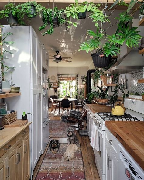 Home Decor Ideas Bedroom, Kitchen Plants, Decor Ideas Bedroom, Boho Interiors, Boho Kitchen, Apartment Kitchen, Cubicle, Home Wallpaper, Ideas Home