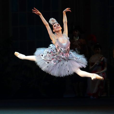 Isabella Boylston as Columbine in Alexei Ratmansky’s reconstruction of “Harlequinade.” Credit: Andrea Mohin/The New York Times Isabella Boylston, Houston Ballet, Pacific Northwest Ballet, Ballet Positions, Ballet Performance, Ballet Boys, Ballet Performances, American Ballet Theatre, Types Of Dancing