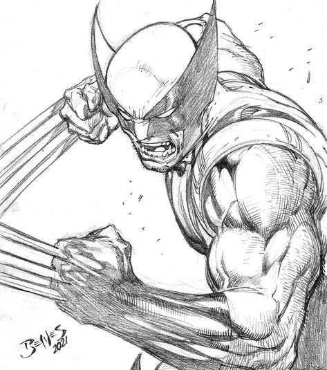 Marvel Drawings Pencil, Wolverine Cartoon, Hulk Sketch, Deadpool Drawing, Wolverine Artwork, Marvel Art Drawings, Comic Art Sketch, Xmen Art, Wolverine Comic