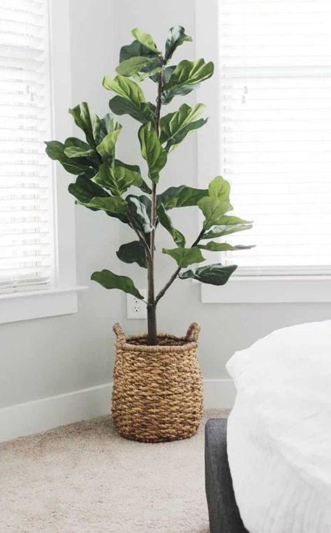 Fiddle Tree, Fiddle Leaf Tree, Fake Plants Decor, Faux Tree, Plant Decor Indoor, Bedroom Plants, Fiddle Leaf, House Plants Decor, Fiddle Leaf Fig