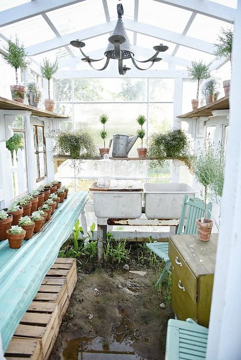 Window Greenhouse, Diy Greenhouse Plans, Best Greenhouse, Greenhouse Shed, Build A Greenhouse, Indoor Greenhouse, Greenhouse Interiors, Rustic Window, Wooden Greenhouses