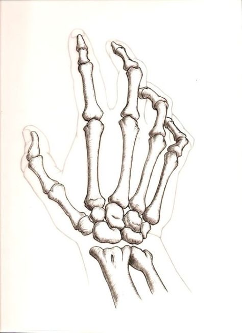 Hand Reaching Out Drawing, Skeleton Hands Drawing, Bone Drawing, Skeleton Drawings, Sharpie Tattoos, Theme Tattoo, Skeleton Hand Tattoo, Skulls Drawing, Skull Drawing