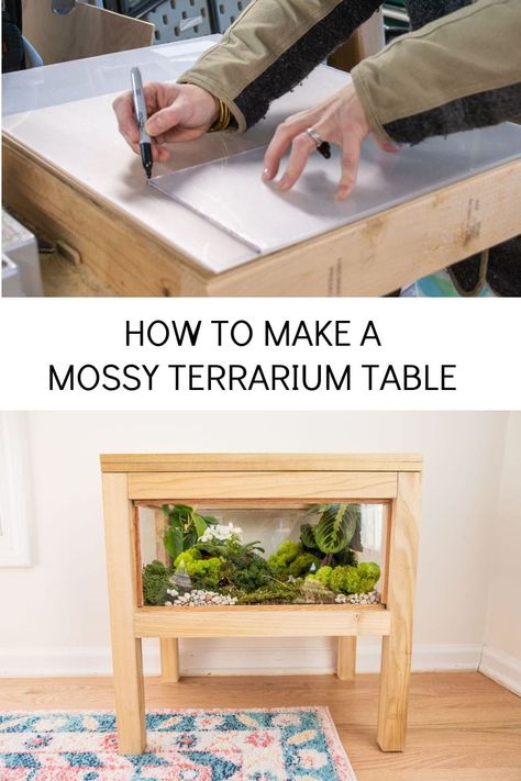 This terrarium table means we get to enjoy mossy lush plants all the time inside a functional piece of furniture. Table Terrarium, Urban Outfitters Room, Terrarium Table, Build A Terrarium, Lush Plants, Moss Terrarium, Rock Decor, Under The Table, Modern Side Table