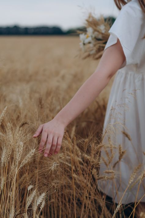 Wheat Field Photos, Wheat Photos, Image Nature, Wheat Field, Wheat Fields, Fields Photography, Shooting Photo, Sunset Photos, Photoshoot Inspiration