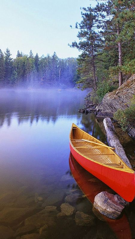 Ontario Parks, Canoe Camping, Algonquin Park, Canoe Trip, Beach House Style, Canoe And Kayak, Outdoor Adventure, Belle Photo, The Great Outdoors