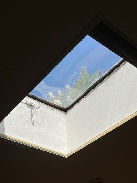 #skylights #summer #window #nature #aesthetic #gardening #relaxing #sky Sky Light Aesthetic, Skylight Aesthetic, House Bridge, Aesthetic Window, Sky Window, Aesthetic Gardening, Roof Skylight, Summer Window, Sky Light