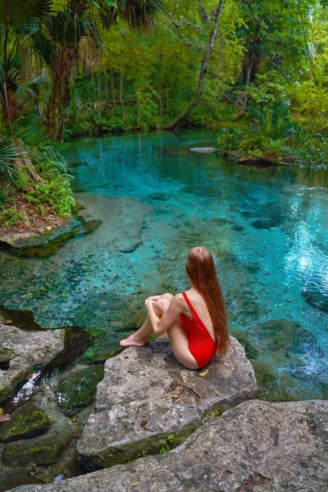 20 Magical Secret Spots And Hidden Gems In The U.S. - Follow Me Away Rock Springs Florida, Florida Packing, Weekend Getaways In The South, Natural Springs In Florida, Springs In Florida, Apopka Florida, Kelly Park, South Usa, Ocala National Forest