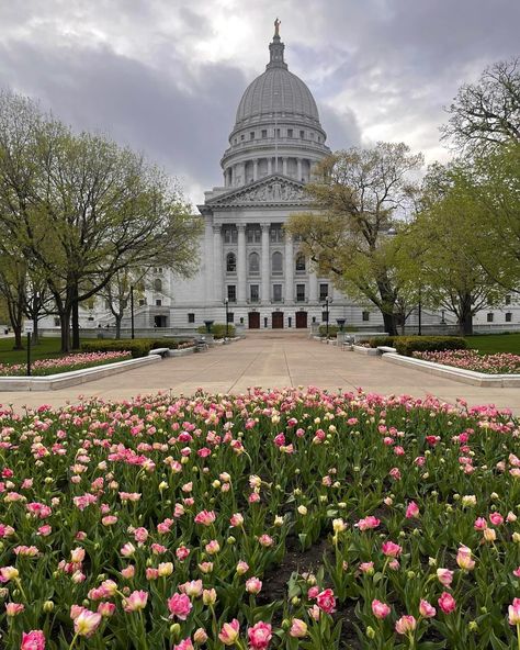 Madison Wisconsin Aesthetic, Uw Madison Aesthetic, Uw Madison Graduation, Wisconsin Living, Wisconsin Aesthetic, Washington Dc Aesthetic, Washington Dc Winter, Living In Dc, Madison Core