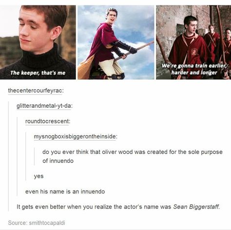 Oliver Wood Oliver Wood Harry Potter, Sean Biggerstaff, Hp Ships, Harry Potter Background, Oliver Wood, Golden Snitch, Harry Potter Drawings, Well Well, Harry Potter Marauders