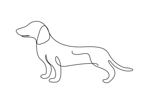 Dog drawing vector using continuous single one line art style isolated on white background. 6637744 Vector Art at Vecteezy Dog Vector Illustration, Line Art Style, One Line Art, Drawing Vector, One Line Drawing, Dog Vector, Tree Saw, Cityscape Photos, Logo Banners