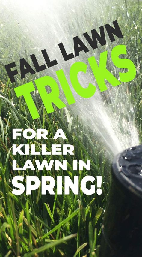 Fall Lawn Care Tricks for a Killer Lawn in Spring! • The Garden Glove Fall Lawn Maintenance, Lawn Care Diy, Fall Lawn Care, Grass Growing, Fall Lawn, Lawn Care Tips, Grow Vegetables, Lawn Maintenance, Growing Tips