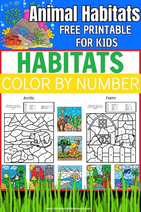 Animal Habitats Color By Number - Little Bins for Little Hands Animal Habitat Activities, Arctic Habitat, Habitat Activities, Number Printables, Ocean Habitat, Bee Hotel, Animal Adaptations, Forest Habitat, Quiet Time Activities