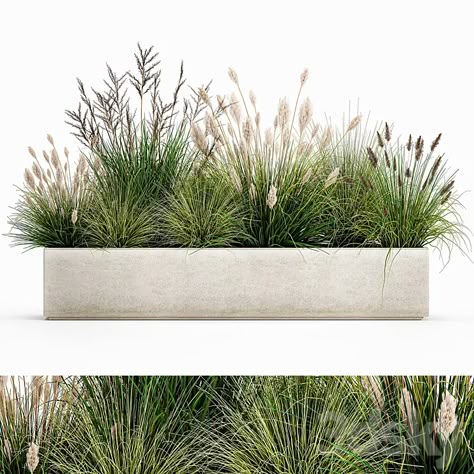 Download Link: https://3ds-max.org/plant/plants/collection-of-plants-in-a-pot-with-pampas-grass-reeds-flowerbed-bushes-landscaping-set-1076-3d-model-free-download/ Bushes Landscaping, Landscape Architecture Graphics, Corner Coffee, Plant Texture, Potted Plants Outdoor, Photoshop Textures, Community Gardening, Model Furniture, Outdoor Landscaping