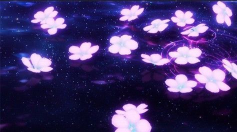 Stars, Purple, Flowers, Pink, Blue, Black