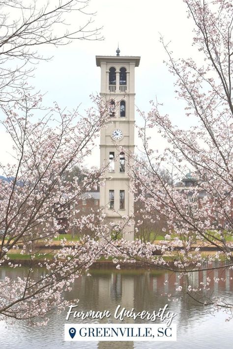 the beautiful belltower at furman university Furman University, Dream Collage, Byzantine Architecture, Gold Mosaic, City Lifestyle, Dream School, Grand Canal, University Campus, Greenville Sc