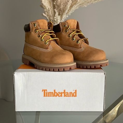 Wheat Timberland Boots Toddler 6c. Toddler Timberlands, Timberland Kids, Timberlands, Timberlands Shoes, Timberland Shoes, Timberland Boots, Wheat, Kids Shoes, Shoe Boots