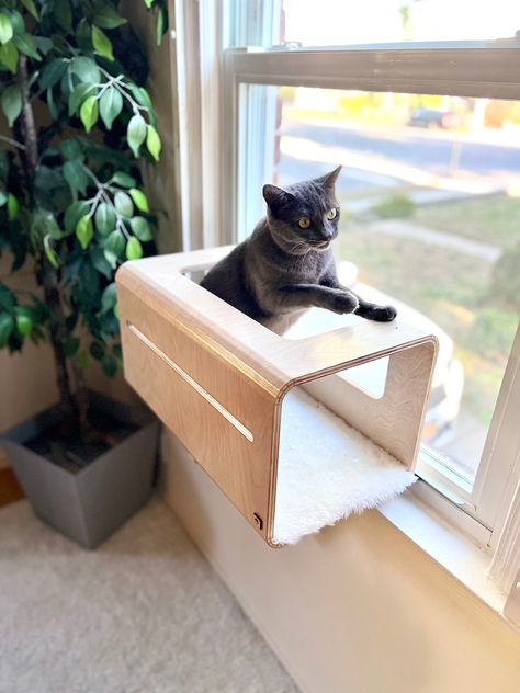 Shop my sale: 20% off. https://etsy.me/3W6W6a3 #etsy #thenamu #etsyfinds #etsygifts #etsysale #etsycoupon #shopsmall Cat Perch Diy, Cat Window Shelf, Cute Cat Stuff, Accessories For Cats, Cat Window Bed, Window Shelf, Stuff Toys, Cat Shelf, Cat Window Perch