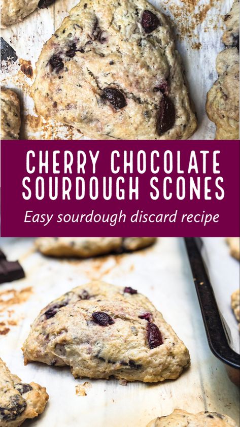 Chocolate Sourdough Discard, Discard Scones, Sourdough Discard Scones, Cherry Scones Recipe, Buttery Scones, Sourdough Scones, Chocolate Sourdough, Cherry Scones, Cherry Bread