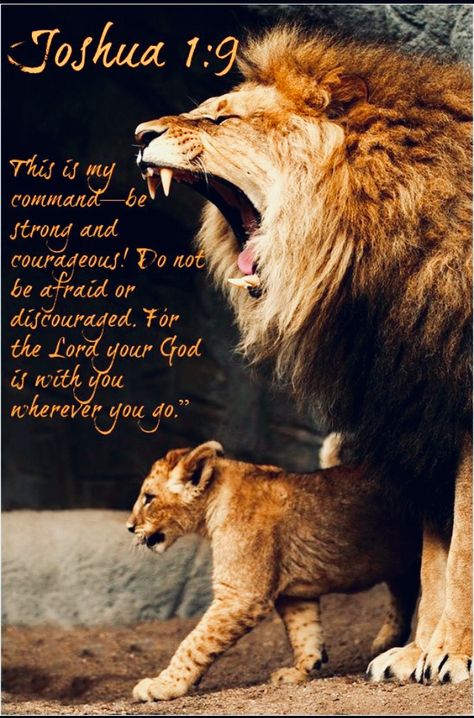 Lion Bible Verse, Tattoo Quotes About Strength, Lion Of Judah Jesus, Lion Quotes, Prophetic Art, Strong Words, Be Strong And Courageous, Lion Of Judah, A Lion