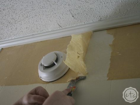 How to Remove Wallpaper Like a CHAMP! - Happily Ever After, Etc. Take Off Wallpaper, Taking Off Wallpaper, How To Remove Wallpaper, Off Wallpaper, Remove Wallpaper, Wallpaper Removal, Drop Cloth, Horror Stories, Off The Wall