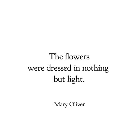 This evening I'm thankful for all the flowers I can see from my windows. Quotes About Being A Light To Others, Ceramic Quotes, Great Short Quotes, Mary Oliver Quotes, Mary Oliver Poems, Flower Mandalas, Nature Poem, Short Quotes Love, Wildflower Field