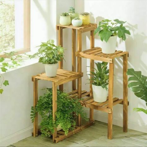 Diy Corner Plant Stand, Indoor Corner Plant Stand, Plant Stand Plans, Plant Stands Diy, Corner Plant Stand, Garden Plant Stand, Corner Plant, Patio Flowers, Support Pour Plante